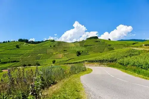 imgi_18_tour-alsace-bus-cabriolet-touristique-tour-photo-1500x1000-37-500x333